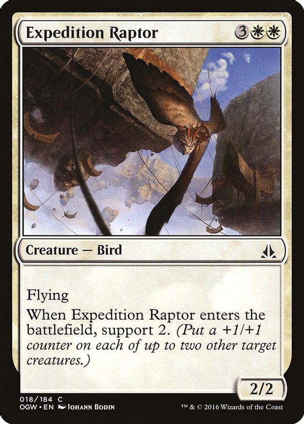 Expedition Raptor | 18