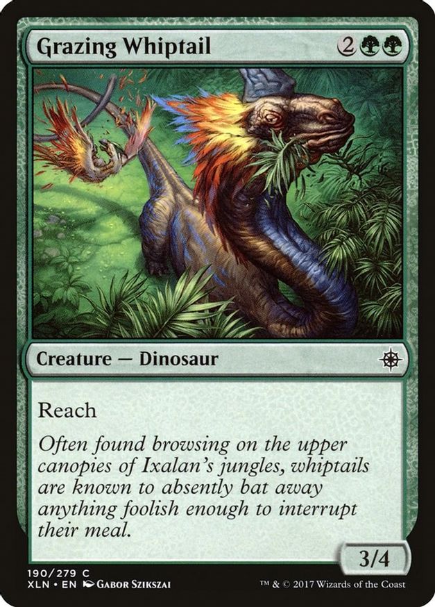 Grazing Whiptail | 190