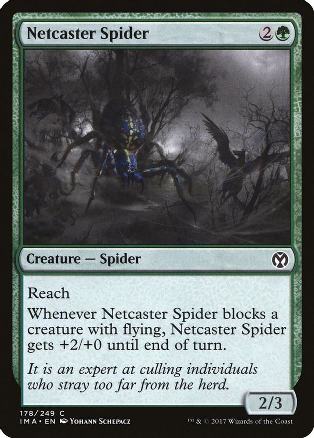 Netcaster Spider | 178