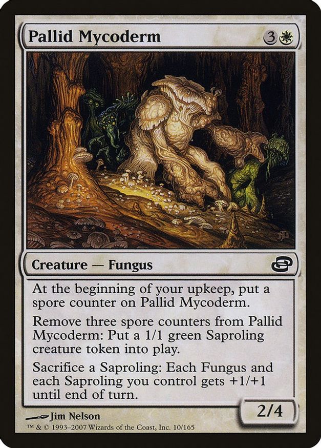 Pallid Mycoderm | 10