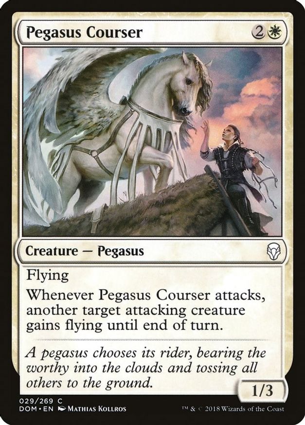 Pegasus Courser | 29