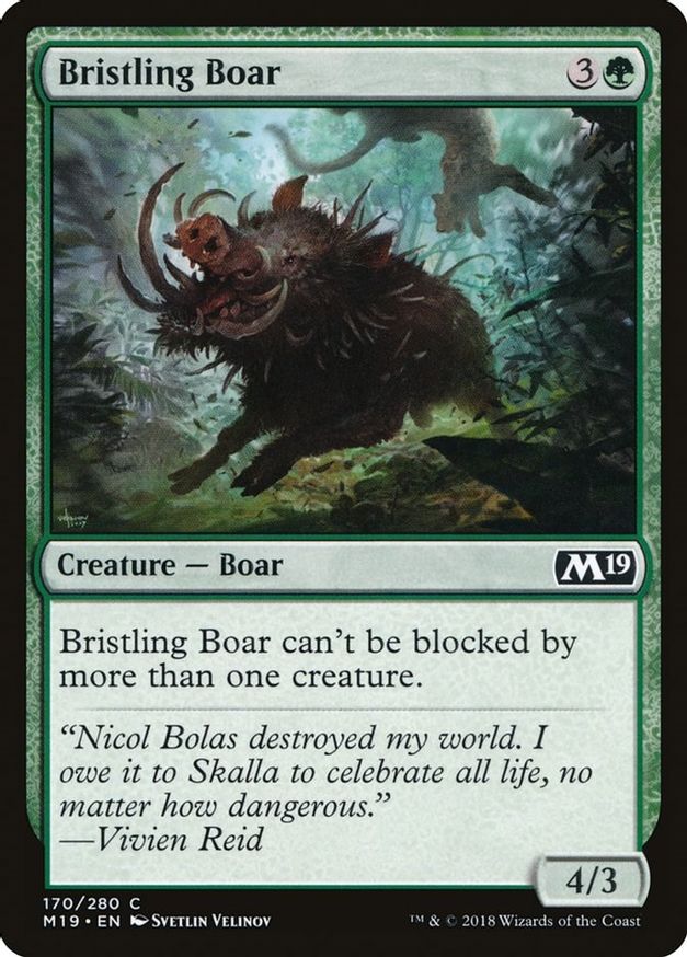 Bristling Boar | 170