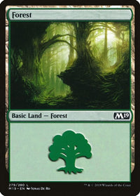Thumbnail for Forest (279)