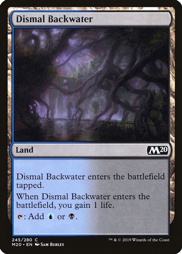 Dismal Backwater | 245