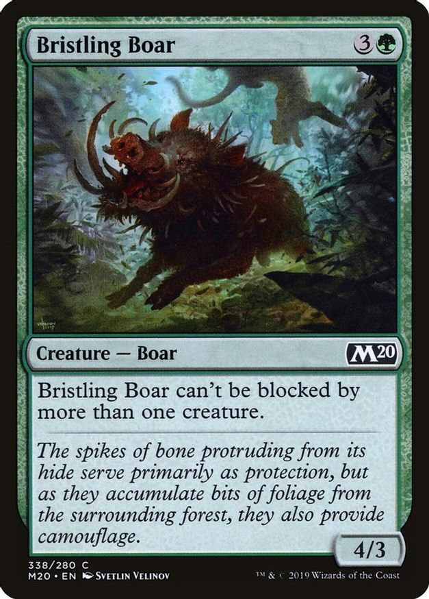 Bristling Boar | 338