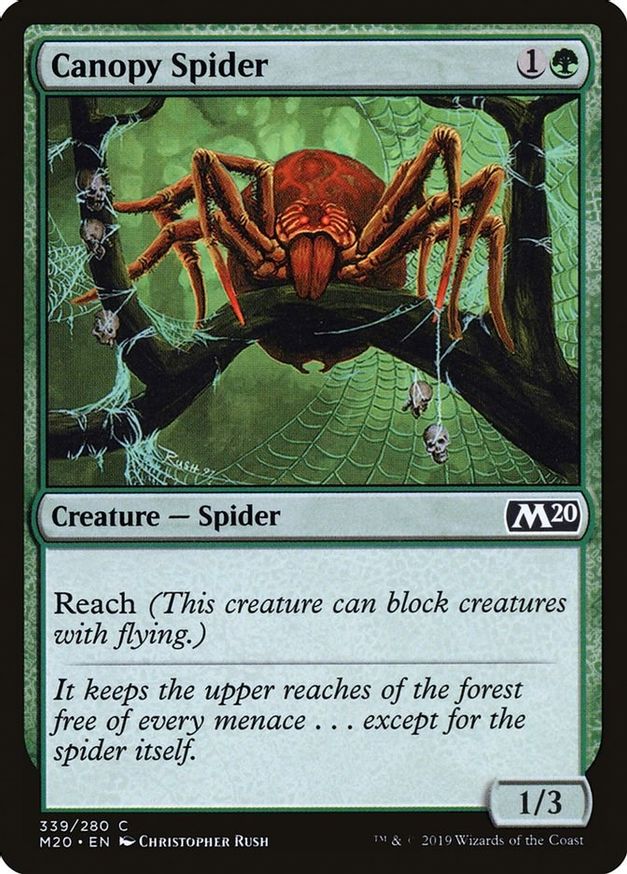 Canopy Spider | 339