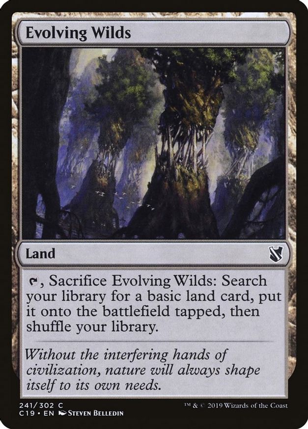 Evolving Wilds | 241