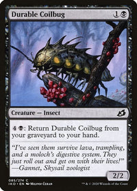 Thumbnail for Durable Coilbug | 85