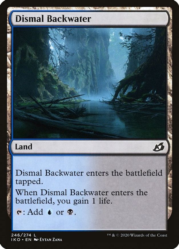 Dismal Backwater | 246