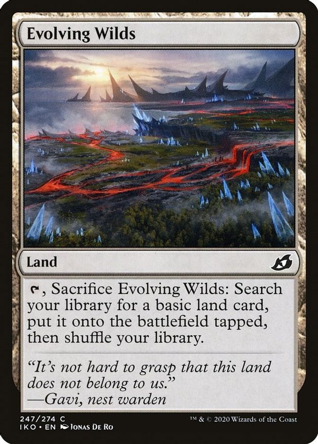 Evolving Wilds | 247