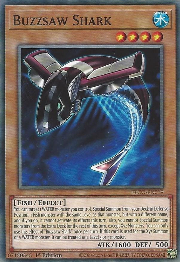 Buzzsaw Shark | ETCO-EN019