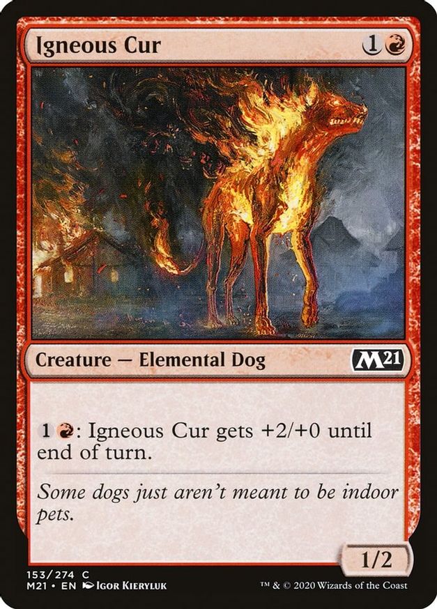 Igneous Cur | 153