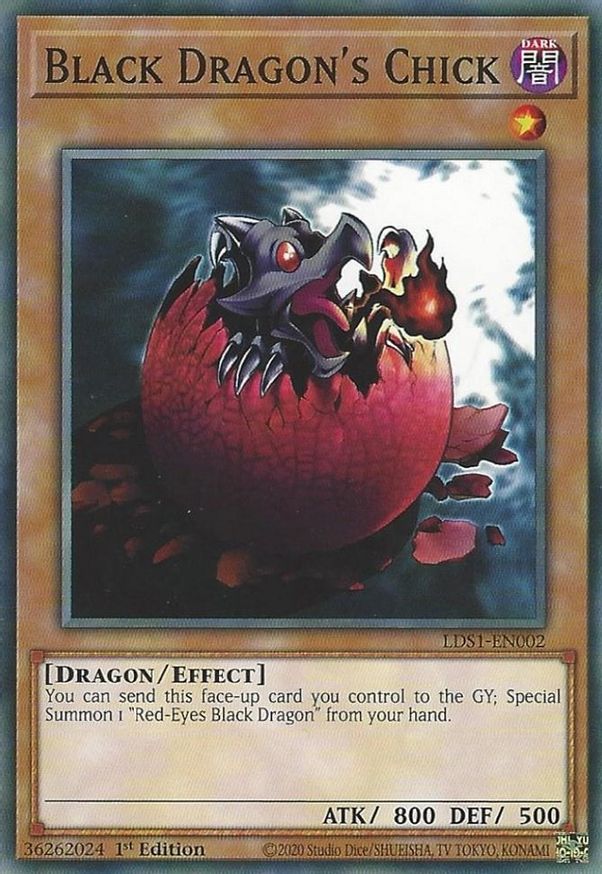 Black Dragon's Chick | LDS1-EN002