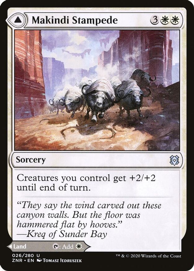 Makindi Stampede | 26