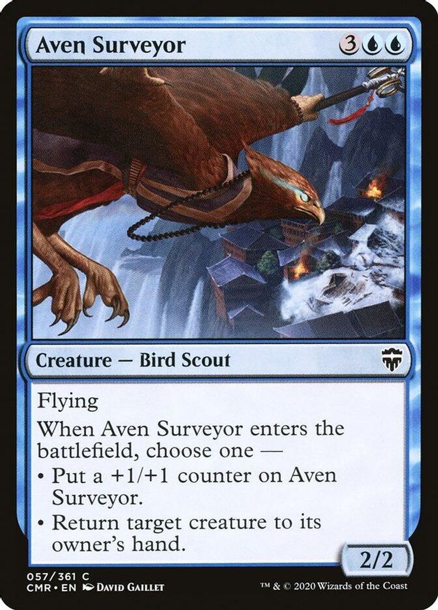 Aven Surveyor | 57