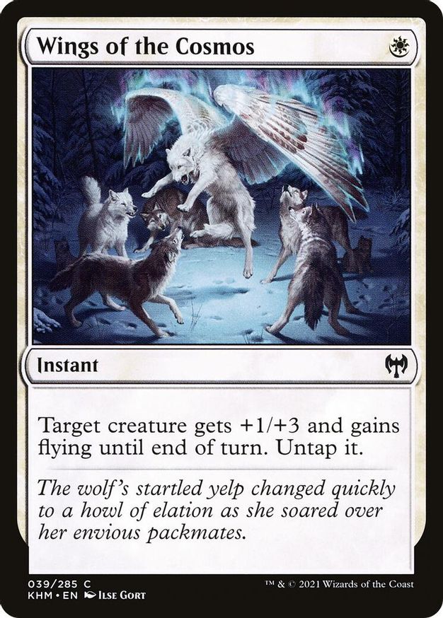 Wings of the Cosmos | 39