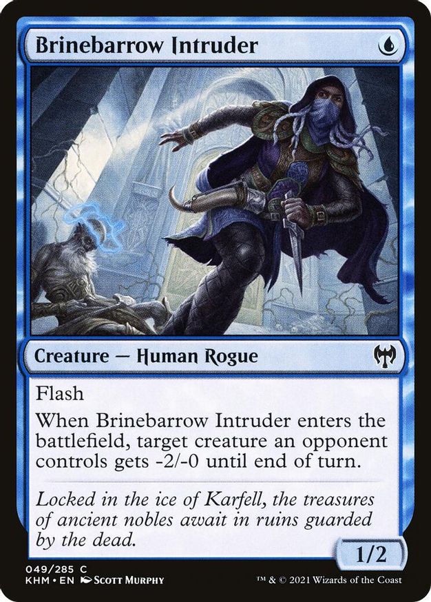 Brinebarrow Intruder | 49