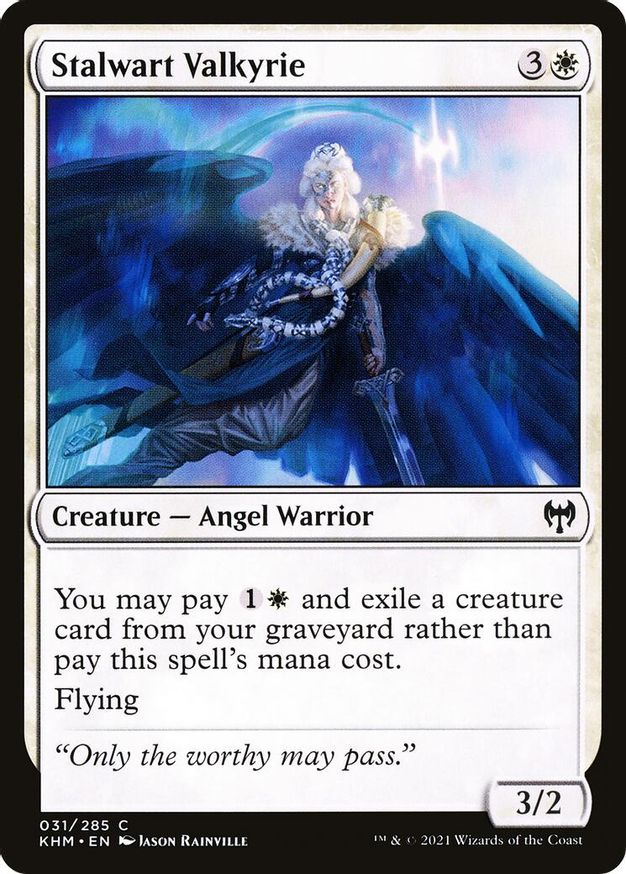 Stalwart Valkyrie | 31