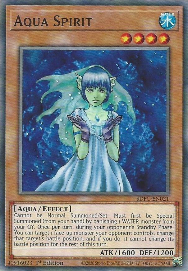 Aqua Spirit | SDFC-EN021