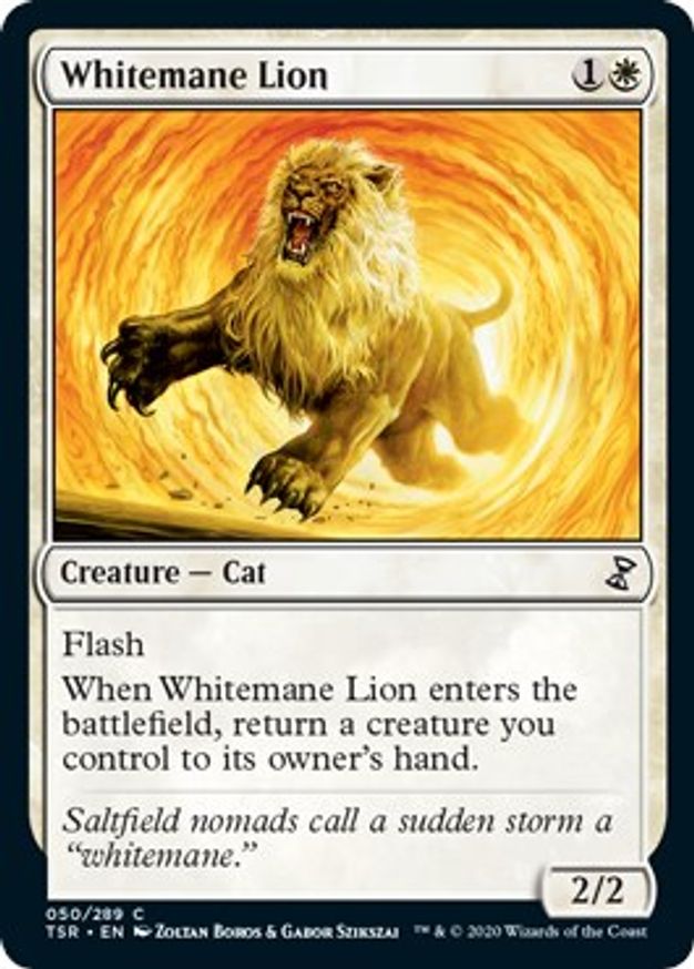 Whitemane Lion | 50