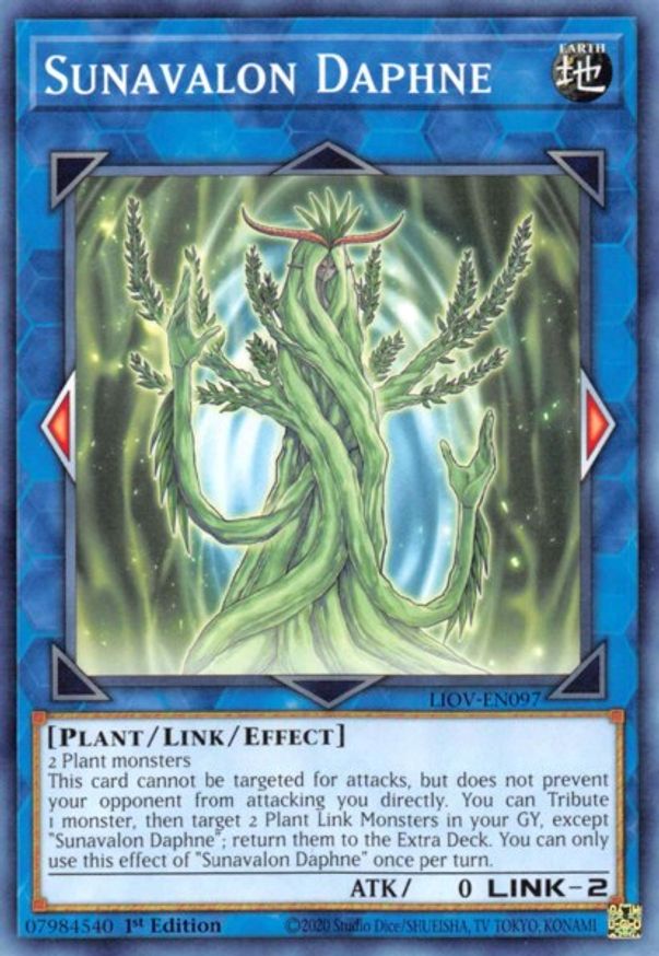 Sunavalon Daphne | LIOV-EN097