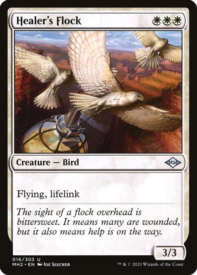 Healer's Flock | 16