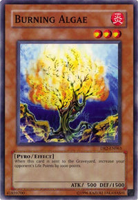 Thumbnail for Burning Algae | DR2-EN063