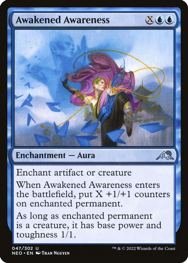 Awakened Awareness | 47