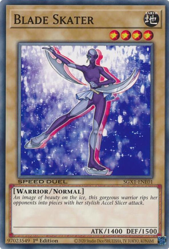 Blade Skater | SGX1-ENE01