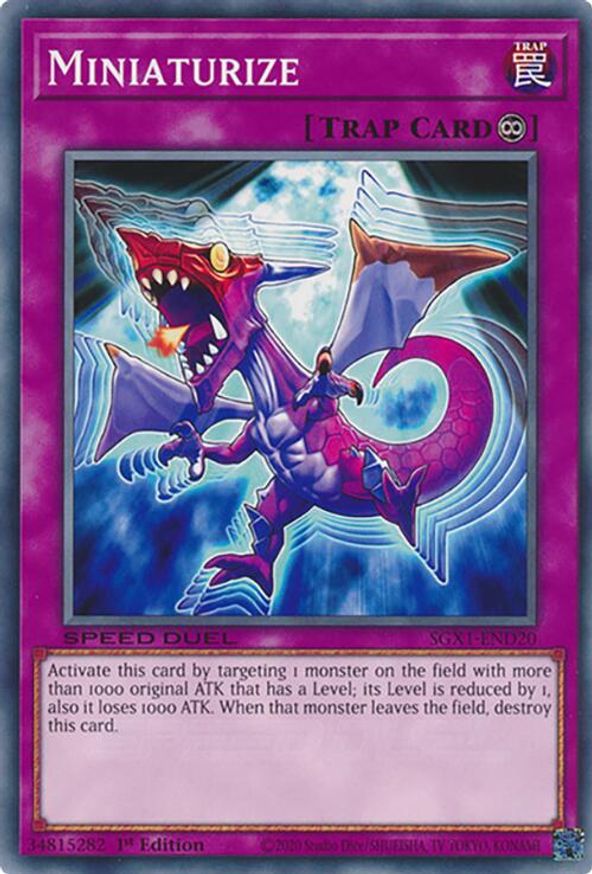 Miniaturize | SGX1-END20