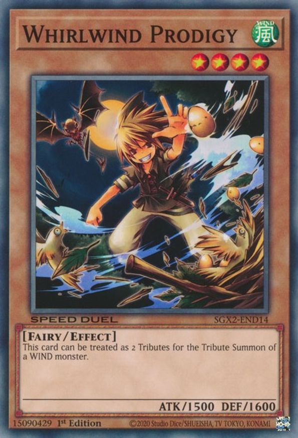 Whirlwind Prodigy | SGX2-END14