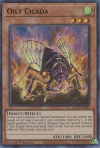 Thumbnail for Oily Cicada | BLCR-EN027