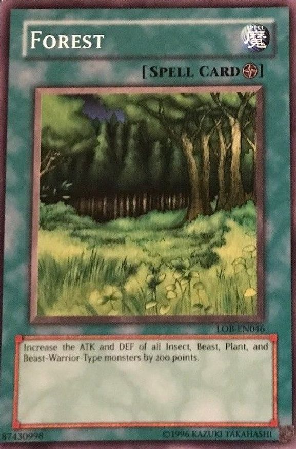 Forest | LOB-EN046