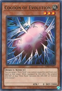 Cocoon of Evolution | MRD-EN011