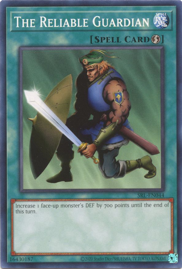 The Reliable Guardian | SRL-EN044