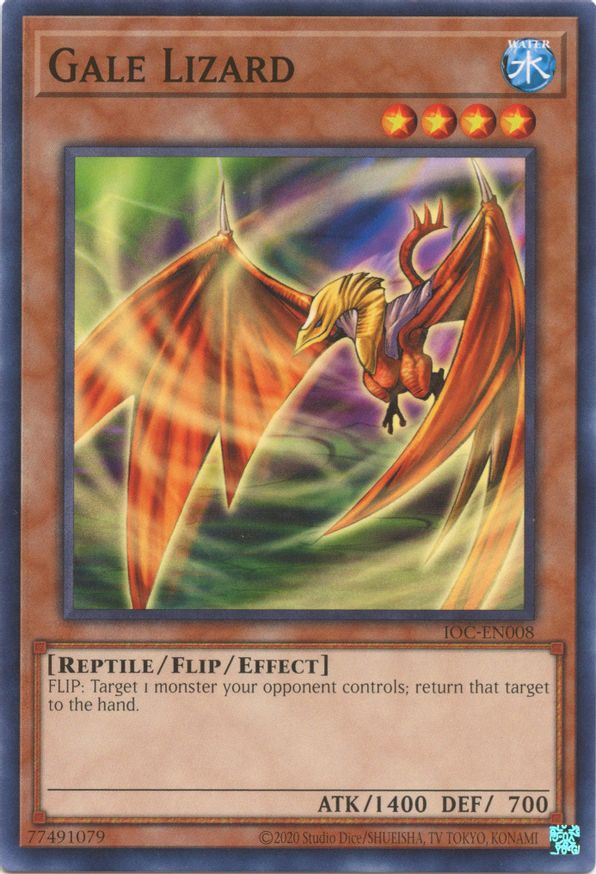 Gale Lizard | IOC-EN008