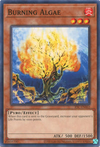 Thumbnail for Burning Algae | IOC-EN062