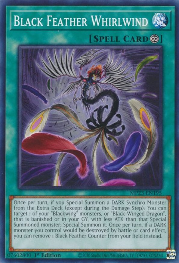 Black Feather Whirlwind | MP23-EN195