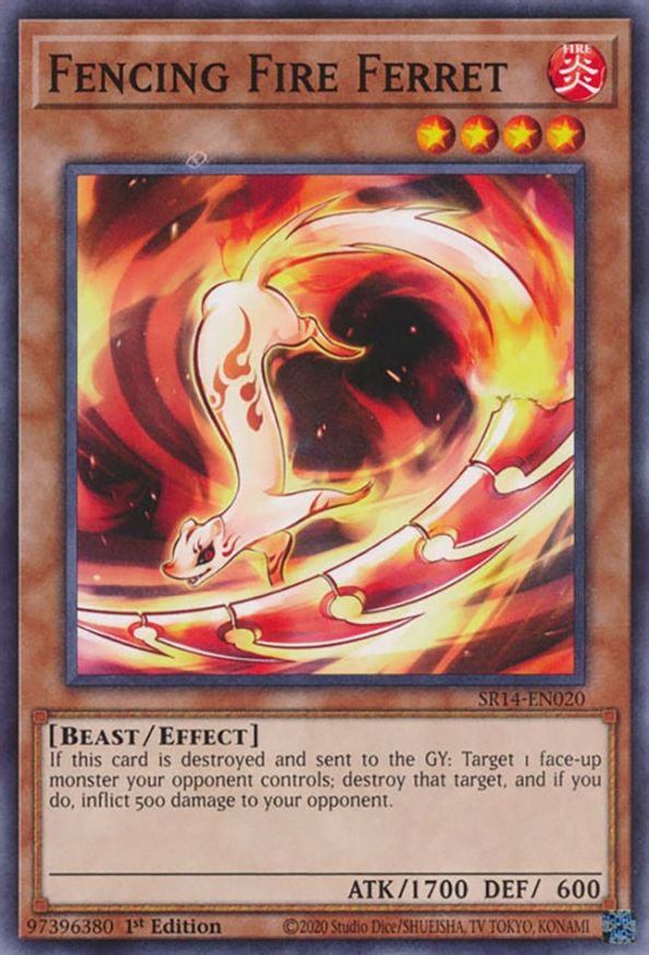 Fencing Fire Ferret | SR14-EN020