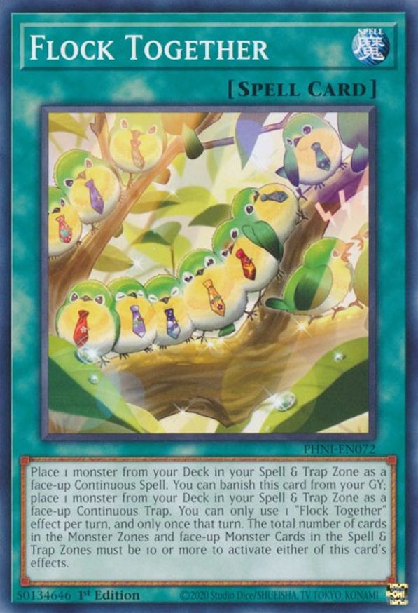 Flock Together | PHNI-EN072