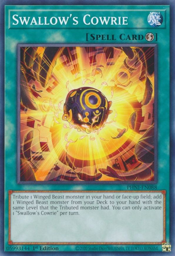 Swallow's Cowrie | PHNI-EN088