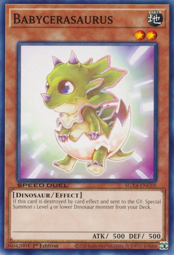 Babycerasaurus | SGX4-ENC05