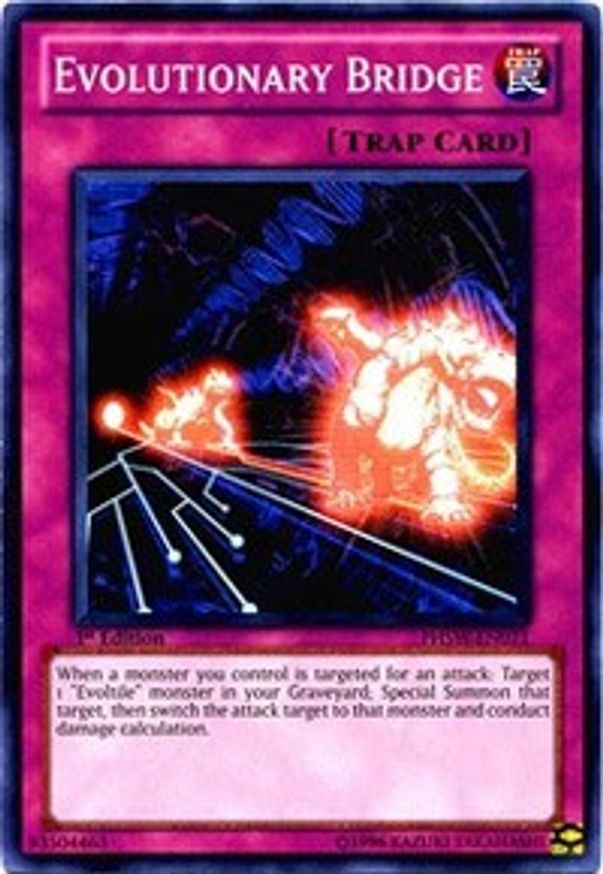 Evolutionary Bridge | PHSW-EN071