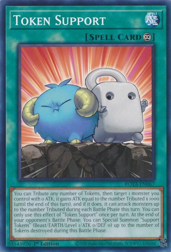 Token Support | ROTA-EN067