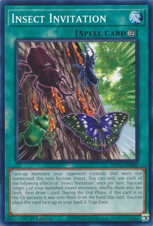 Insect Invitation | ROTA-EN083