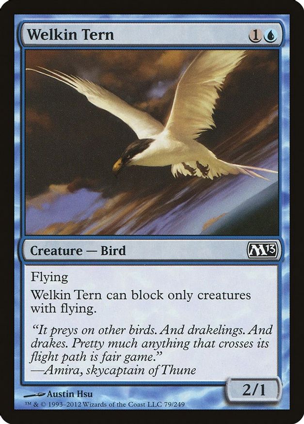 Welkin Tern | 79