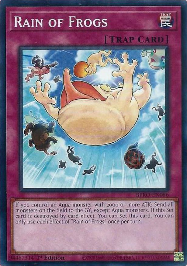 Rain of Frogs | BPRO-EN086