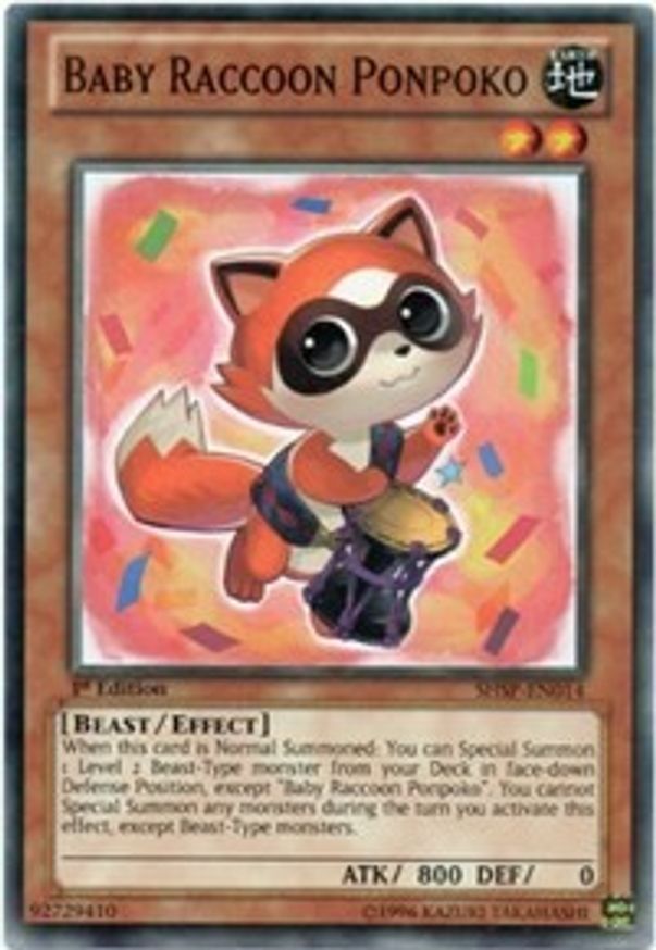 Baby Raccoon Ponpoko | SHSP-EN014