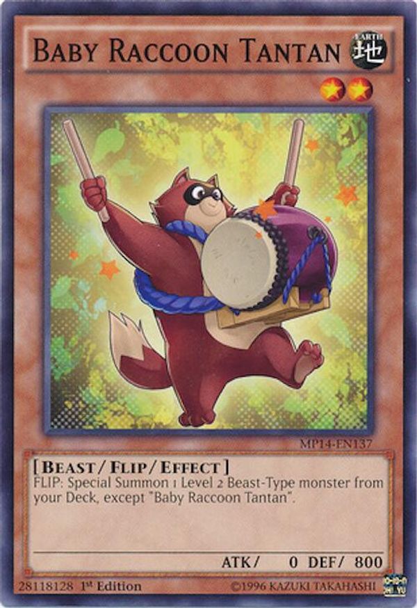 Baby Raccoon Tantan | MP14-EN137