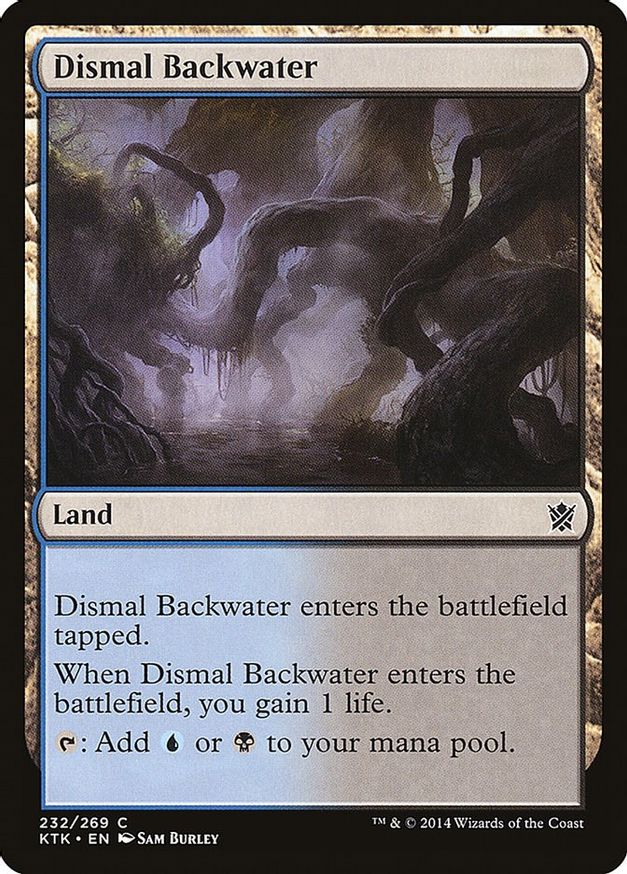 Dismal Backwater | 232